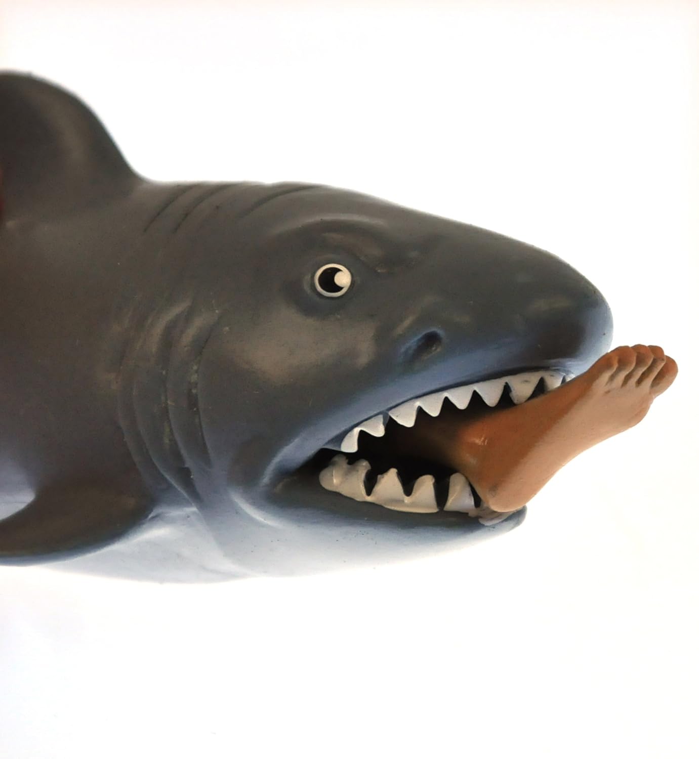 Schylling SC Chomp-Shark. Assorted Designs and Colours